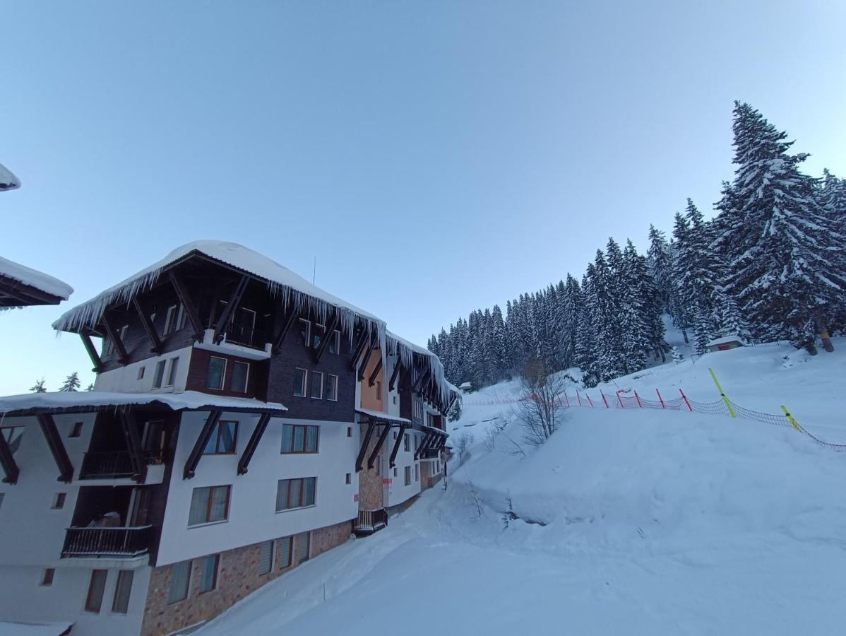 Viva 5 Apartment Grand Monastery On The Ski Slopes 潘波洛沃 外观 照片